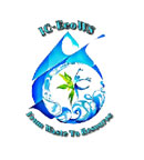 IC-EcoWS